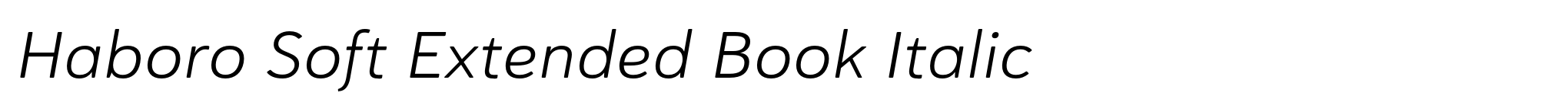 Haboro Soft Extended Book Italic image